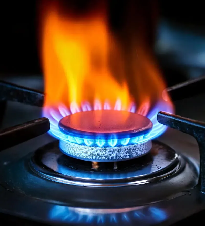 Metro Gas Safety