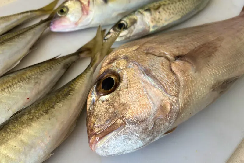 Smoking Fish